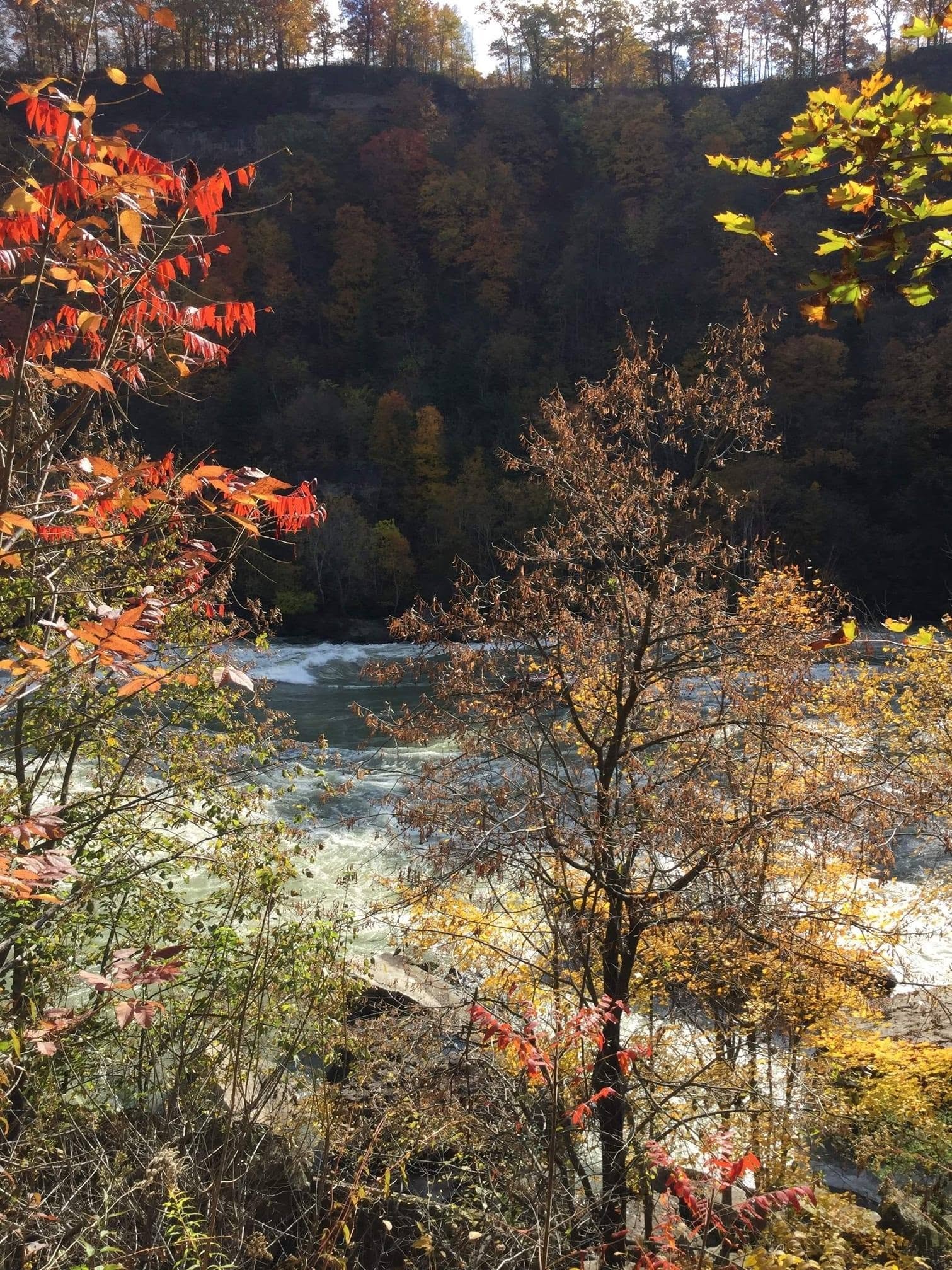 Autumn colours along the Niagara River gorge